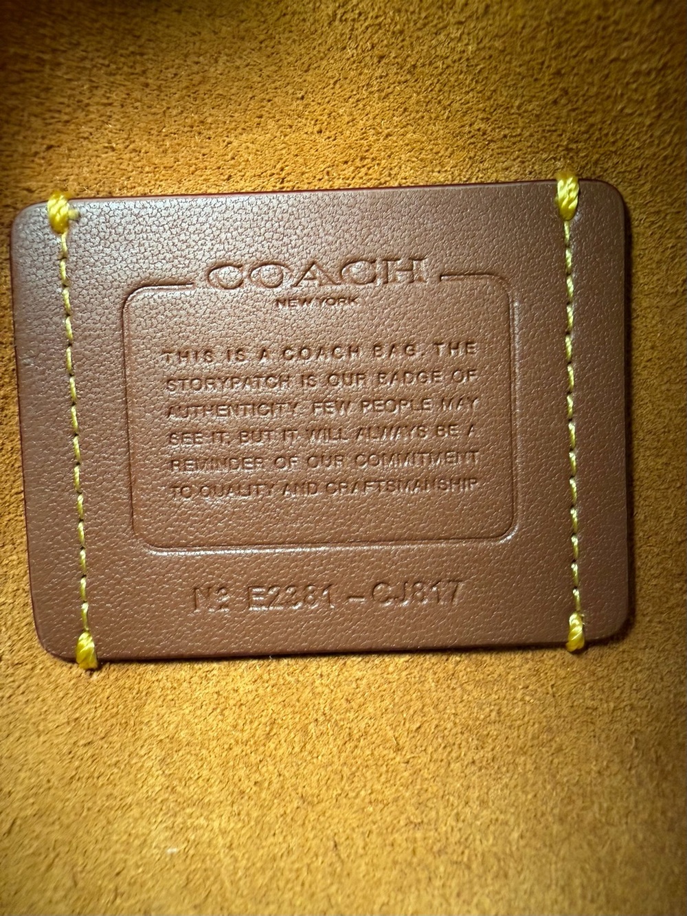 COACH ⁠Soft Tabby Braided Suede Canyon Bag CJ817 NWOT⁠ - Picture 2 of 15